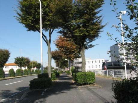 画像2